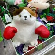 Chappyの画像