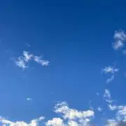 ゆの画像