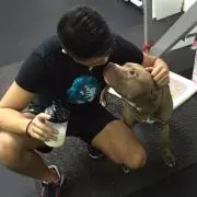 桐島一茶