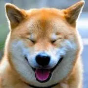 ケイ