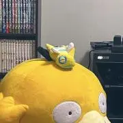 きょうの画像