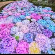 8539♡即購入大歓迎◎の画像