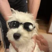 くんせいの画像