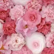 pink.8 ♪即日発送可♪の画像