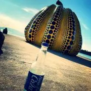 109Aiの画像