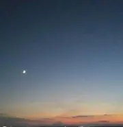 いずみの画像