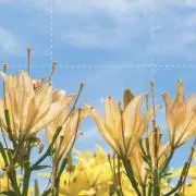 モンチの古着屋★24hいつでもお買い物★