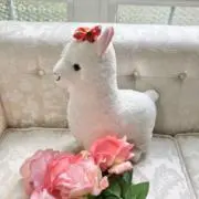 yukiの画像