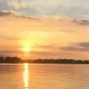 Sakuの画像
