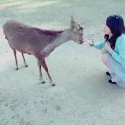 奈央の画像