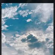 みーの画像