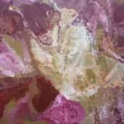Lipouの画像