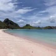 ときの画像