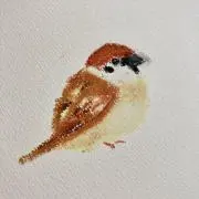 とりの画像