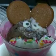 Koyの画像