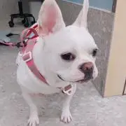 Bo～の画像