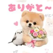 HIRO☆Shopの画像