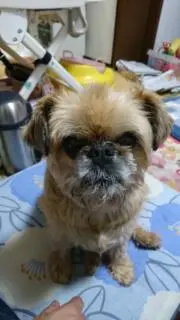 TOMIの画像