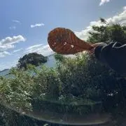 まなの画像