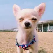 まみまみ
