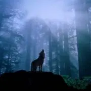 カイン