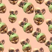 おはな✿の画像