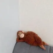 purikoの画像