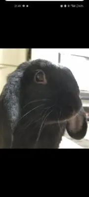 なつまる♡24時間以内発送の画像