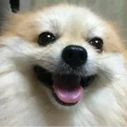 かず