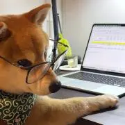 GGYYの画像