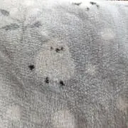 Ma Naの画像