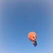 みみたろう