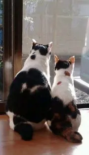 ふくふく　(プロフ読んでください)の画像