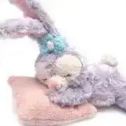 ココアの画像