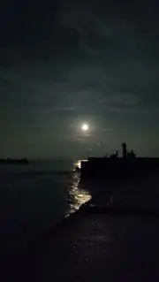 魚弱