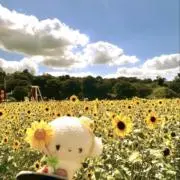 みっきー38の画像