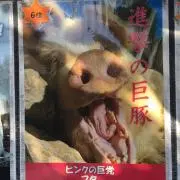 なんちゃん