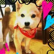 しーの♪
