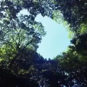たたたの画像