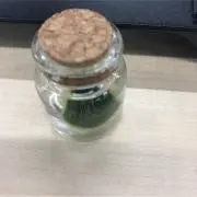 ボ ジャン