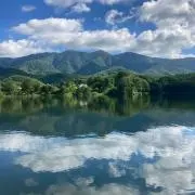 希少 フランスアンティーク 真鍮製 燭台 特大36cm 3つ葉 店舗什器 B