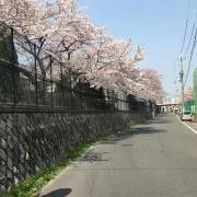なぴ