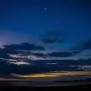 蓮
