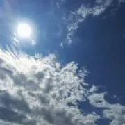 さゆきの画像