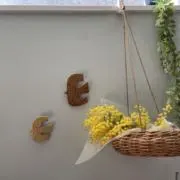 KT✤の画像