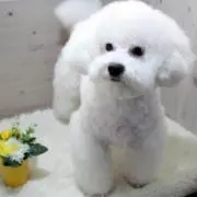 そるとの画像