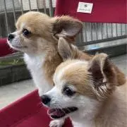 ARcoconuts