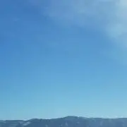 緑茶の画像
