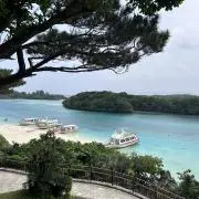 はろの画像