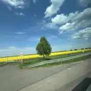 のんの画像